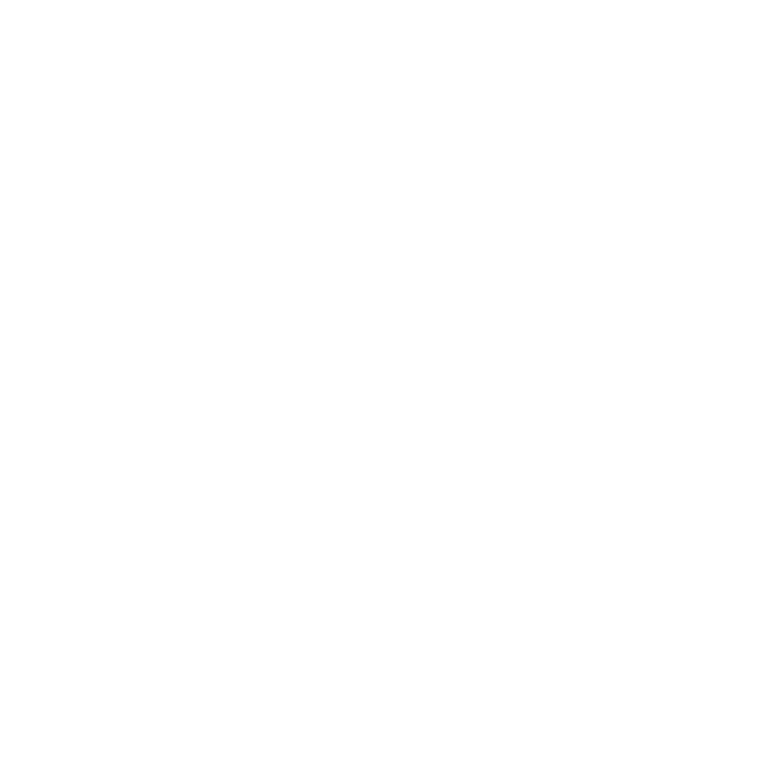 ssn logo blanco medio